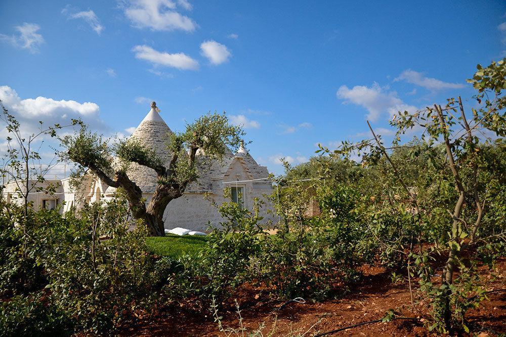 Leonardo Trulli Resort Locorotondo Eksteriør bilde